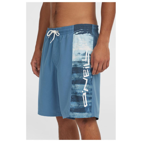 O'neill Ανδρικό μαγιό Retro 19'' Swimshort